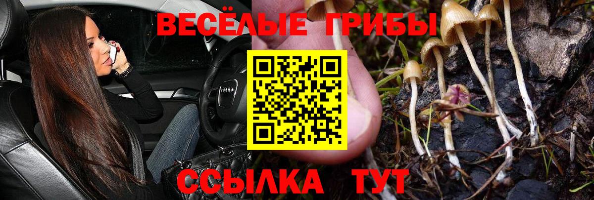 Дзержинский  Галлюциногенные грибы Magic Shrooms  цены наркотик  Вход с VPN 